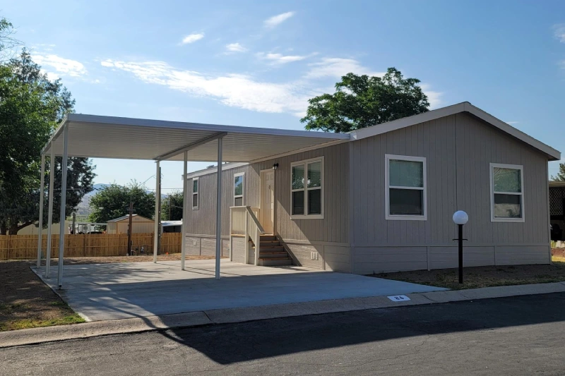 American freedom 2444